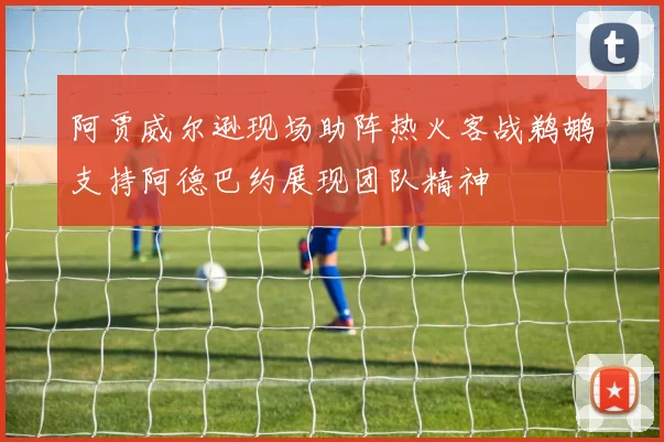 阿贾威尔逊现场助阵热火客战鹈鹕支持阿德巴约展现团队精神